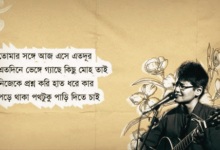 Tar Cheye Mene Nao Lyrics (তার চেয়ে মেনে নাও) by Shayan