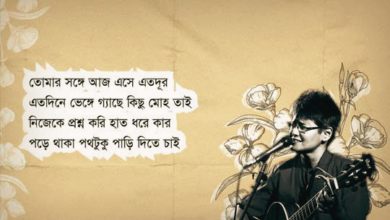 Tar Cheye Mene Nao Lyrics (তার চেয়ে মেনে নাও) by Shayan